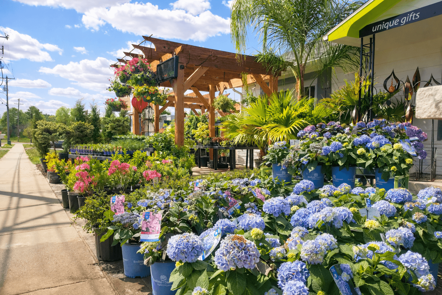 Plants & Nursery
